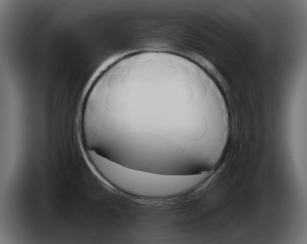 X0000083591432200703021832