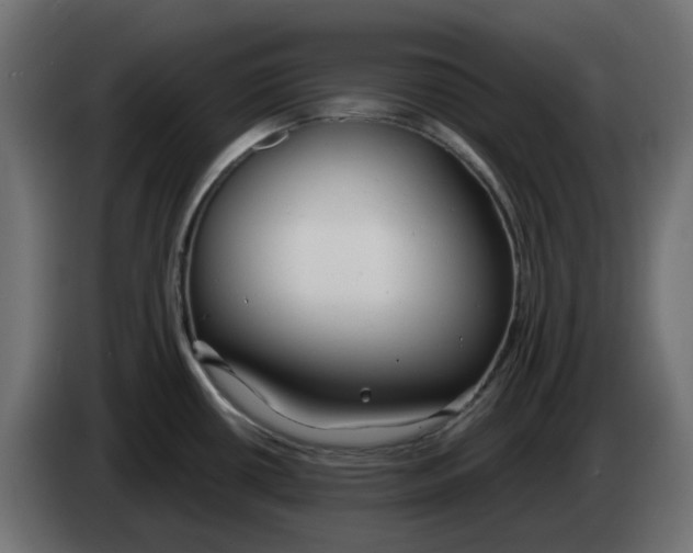 X0000083591434200703021832