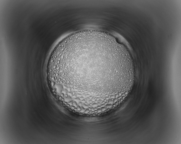 X0000083591435200703021832