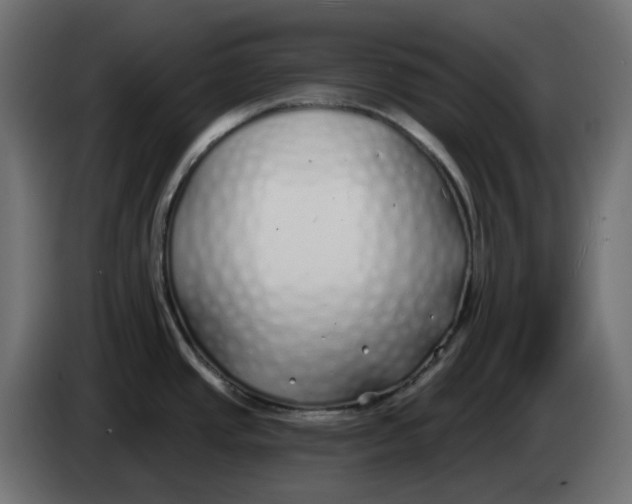 X0000083591437200703021832