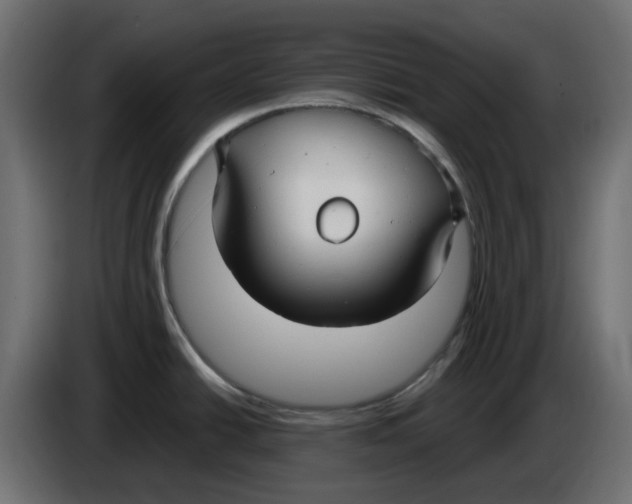 X0000083591438200703021832