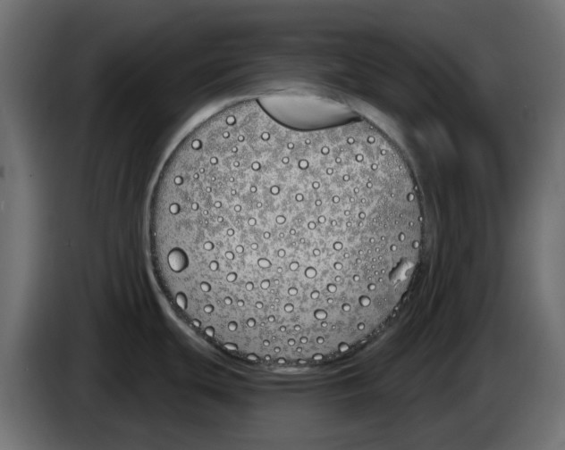 X0000083591439200703021832