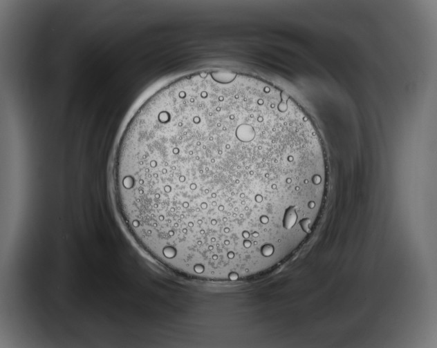 X0000083591440200703021832