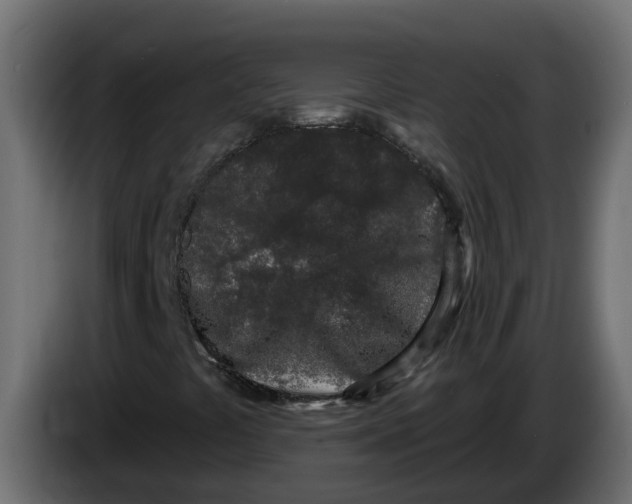 X0000083591441200703021831