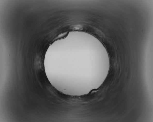 X0000083591442200703021831