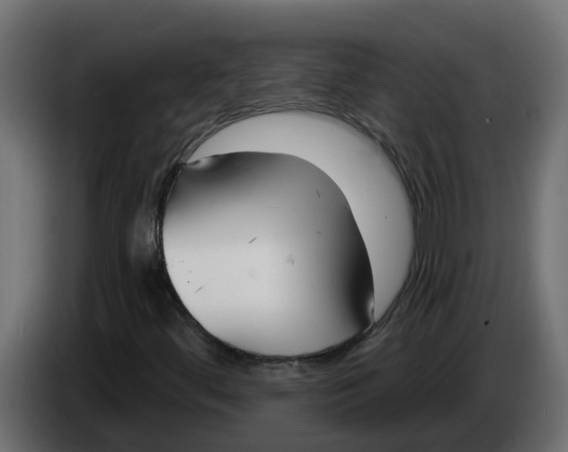 X0000083591444200703021831
