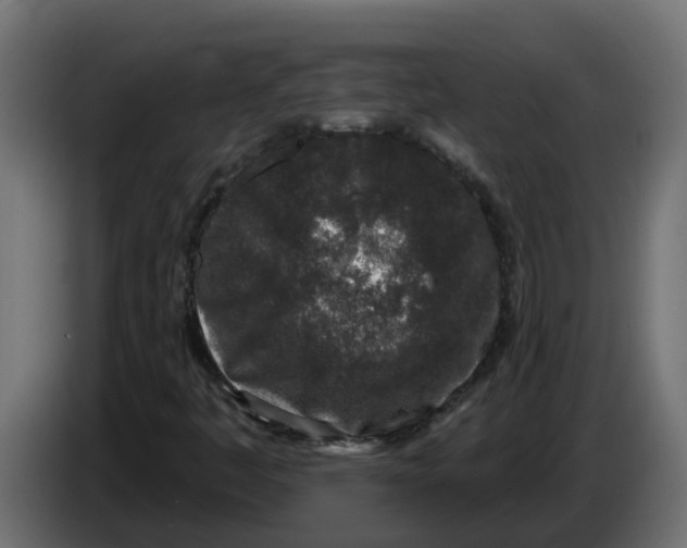X0000083591445200703021831