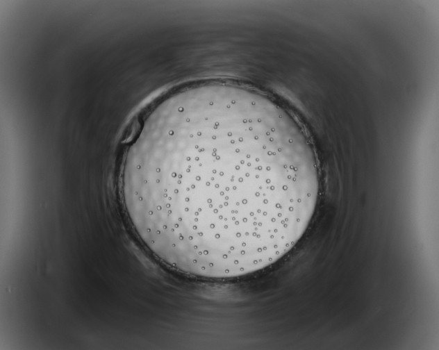 X0000083591452200703021831
