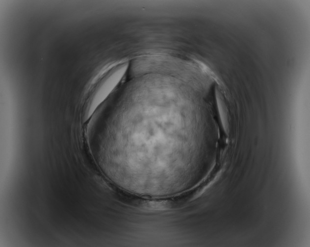 X0000083591453200703021831