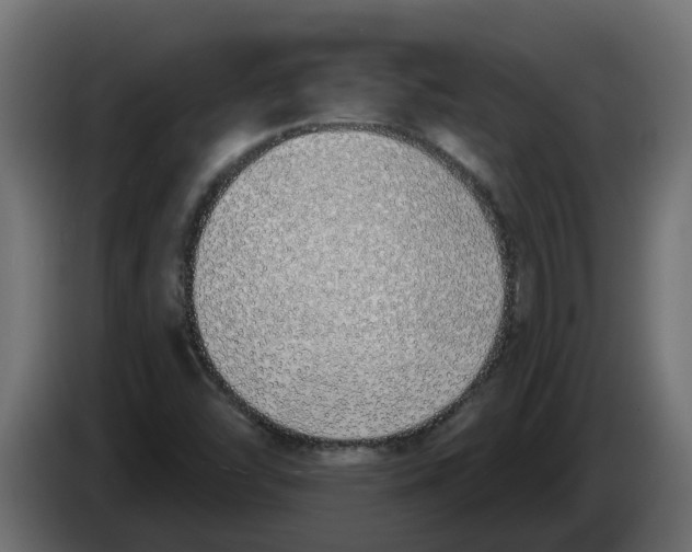 X0000083591454200703021831