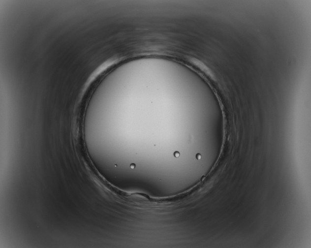 X0000083591458200703021830