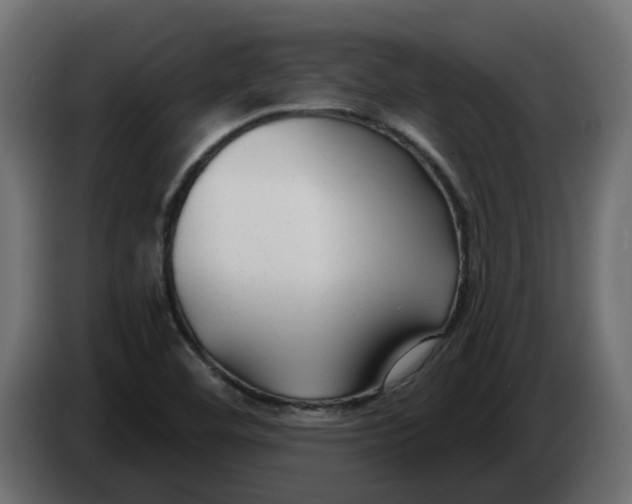 X0000083591460200703021830