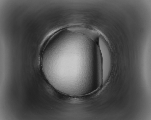 X0000083591461200703021830