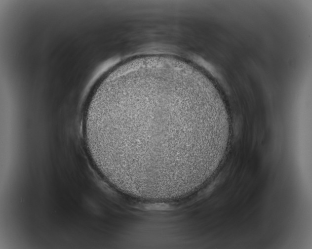 X0000083591462200703021830
