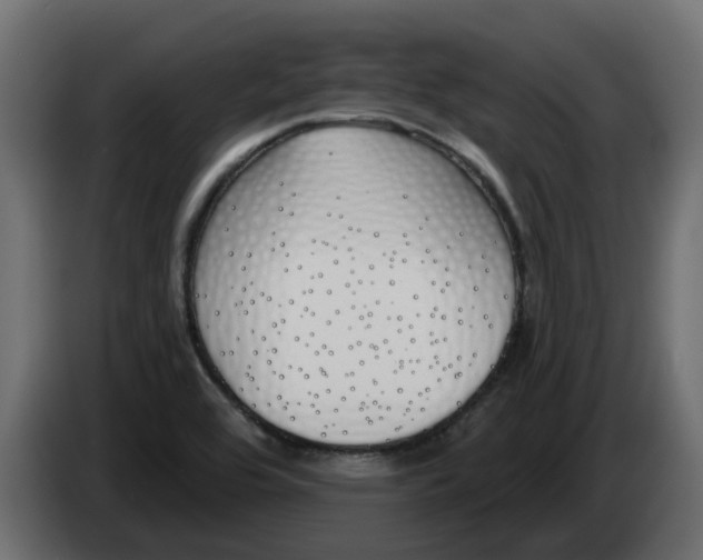 X0000083591464200703021830