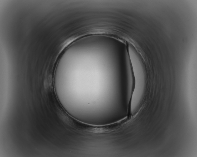 X0000083591465200703021830