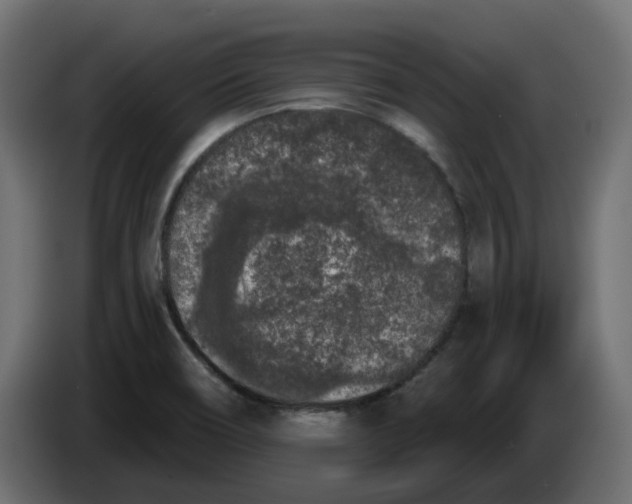 X0000083591466200703021830