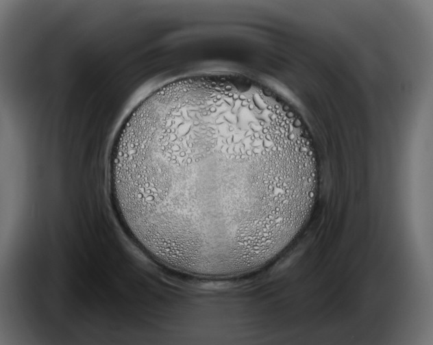 X0000083591467200703021830