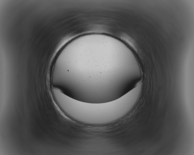 X0000083591468200703021830