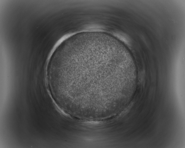 X0000083591470200703021830
