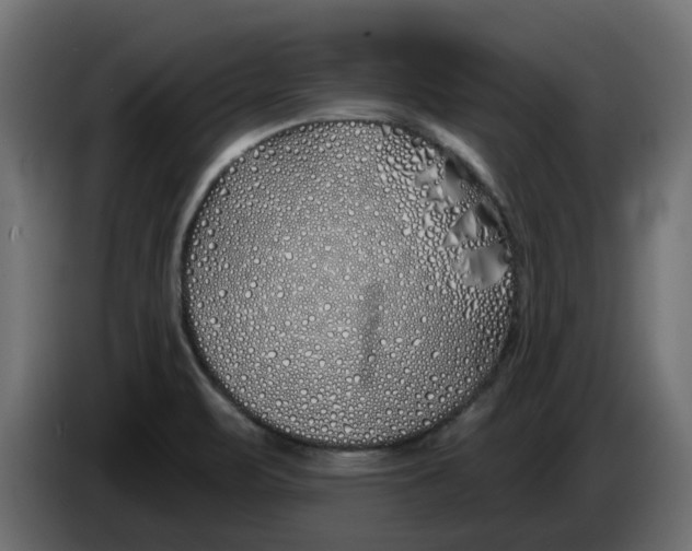 X0000083591471200703021830