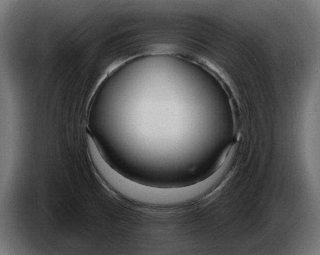 X0000083591473200703021830