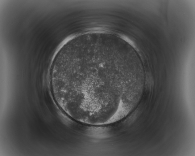 X0000083591474200703021830