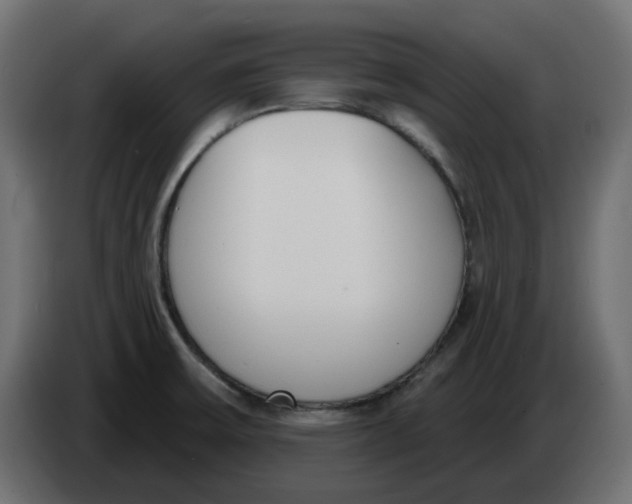 X0000083591475200703021830