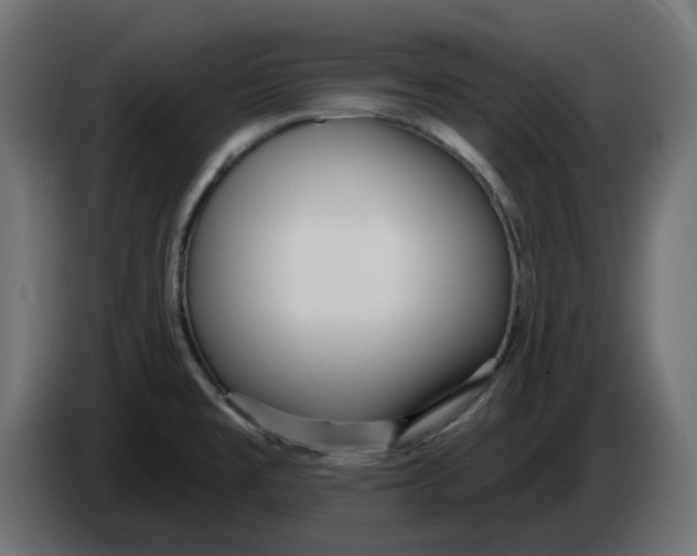 X0000083591477200703021830