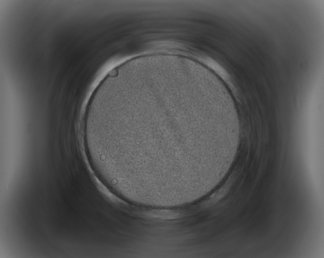 X0000083591478200703021830