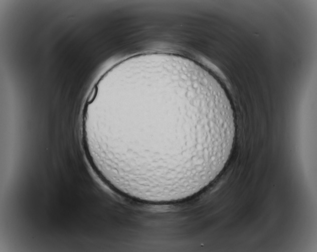 X0000083591479200703021830