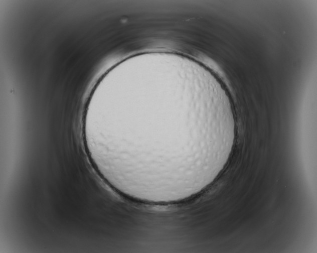X0000083591480200703021830
