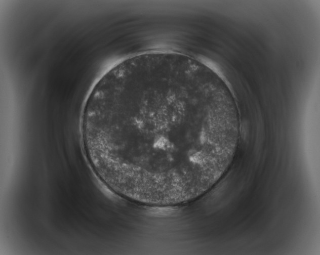 X0000083591482200703021830