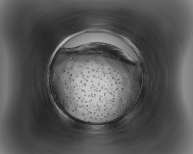 X0000083591484200703021830