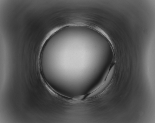 X0000083591485200703021830