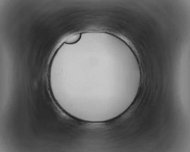 X0000083591486200703021830