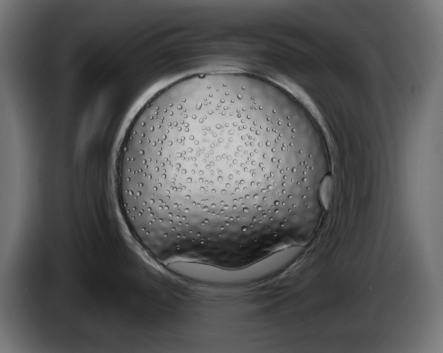 X0000083591488200703021830