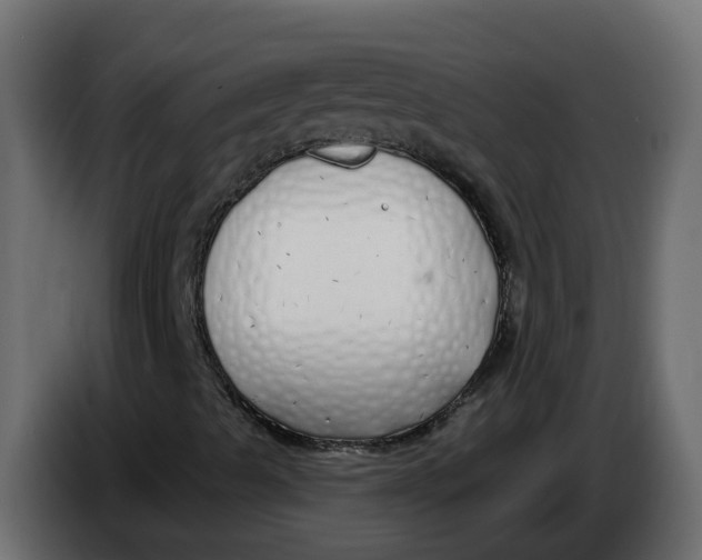 X0000083591489200703021829