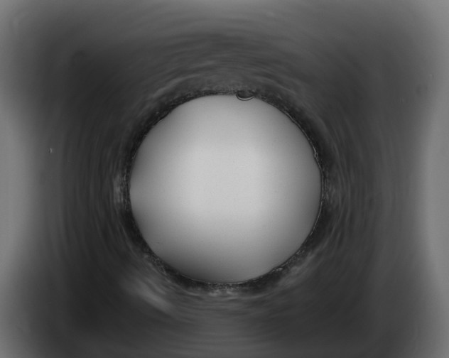 X0000083591490200703021829