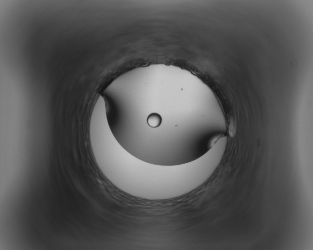 X0000083591492200703021829