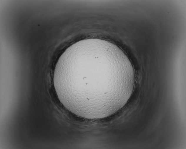 X0000083591493200703021829