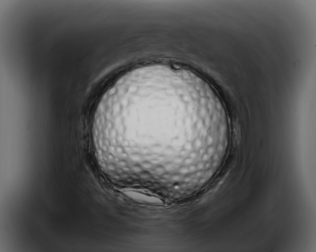X0000083591494200703021829