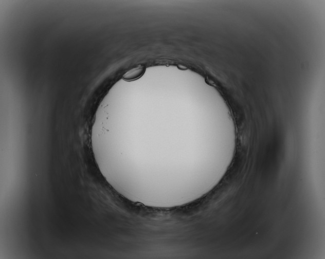 X0000083591495200703021829