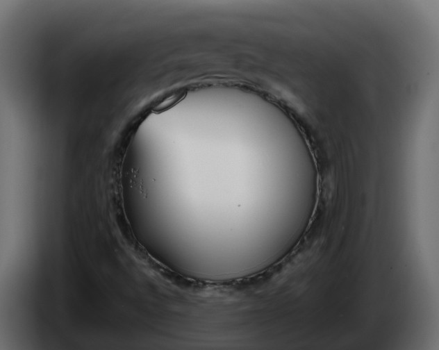X0000083591496200703021829