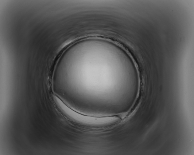 X0000083591497200703021829