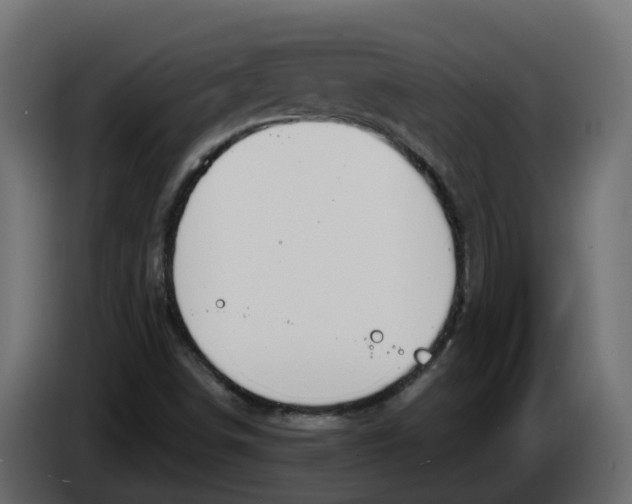 X0000083591498200703021829