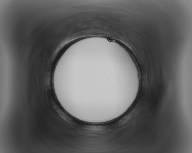 X0000083591499200703021829