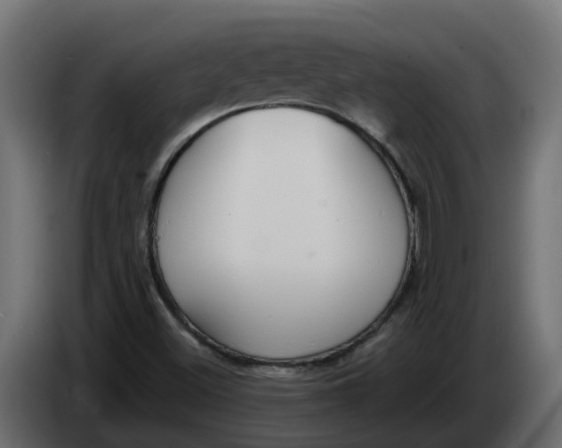 X0000083591500200703021829