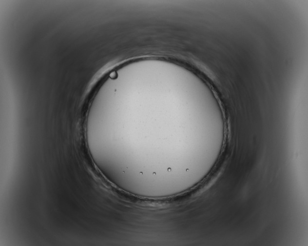X0000083591501200703021829