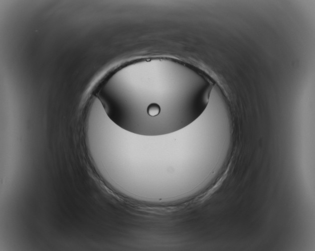 X0000083591502200703021829